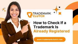 How to Check If a Trademark Is Already Registered